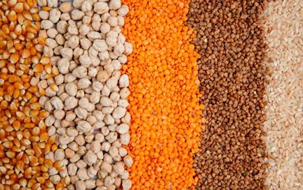 Как нас обманывают — правда и ложь о глютене