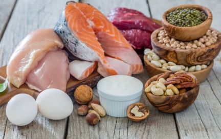 Все о белках