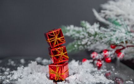 FitStars – итоги 2022 года в фактах и цифрах