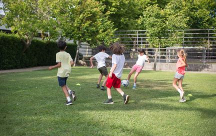 Доктор говорит. Занимаемся физическим воспитанием детей-дошкольников