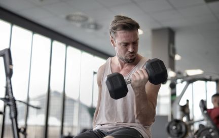 Мышцы предплечья — анатомия, функции, упражнения