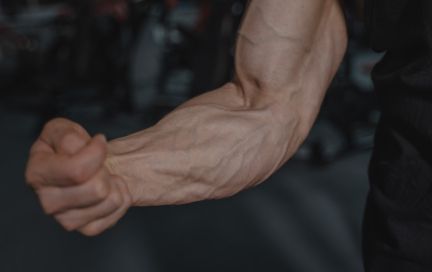 Лучшие упражнения на предплечья с гантелями для мужчин и женщин: дома и в зале