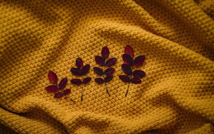 Ещё один прекрасный способ борьбы с осенней усталостью, раздражительностью и плохим настроением