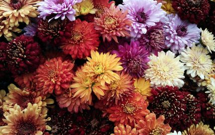 Возвращаем тариф «Безлимит навсегда»! И объявляем старт акции «Весенняя перезагрузка»