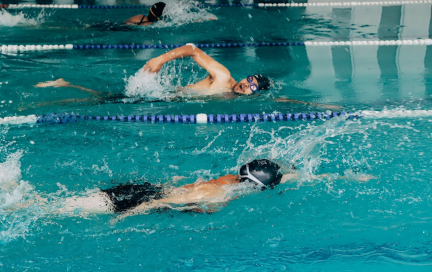 Кроль для начинающих: основы техники, упражнения на суше и в воде