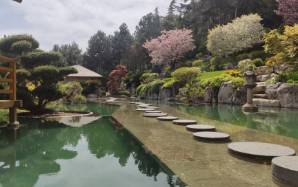 Увидеть цветение сакуры, побродить по пещерному городу и поесть вкуснейшего плова. Где и когда? Весной в Крыму