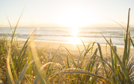 Акция «Лето с фитнес-приветом!»