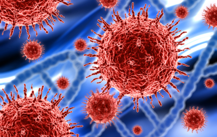 Вирус папилломы человека