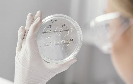 Криоконсервация яйцеклеток