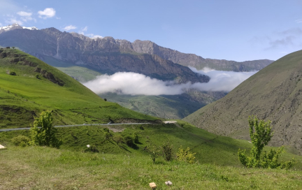 Ежедневные прогулки: как они влияют на эмоциональное здоровье