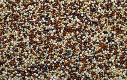 Киноа на вашем столе — здоровье в каждой ложке