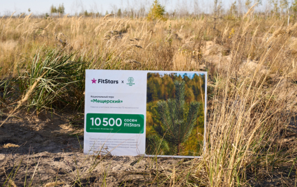 Натренировали! Высаживаем 10 500 деревьев в Лесу FitStars