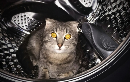 Мама- тоже человек