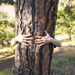 Аффирмации: Страх, я тебя вижу