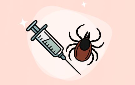 Клещ укусил, а прививки нет: что делать