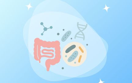 Как улучшить микробиом кишечника и повысить эффективность тренировок
