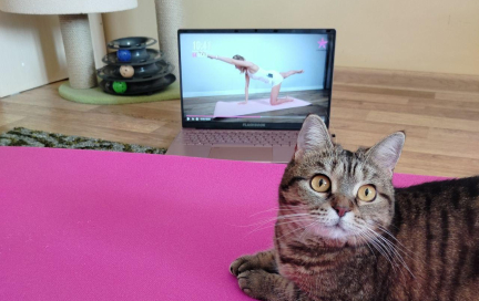 МИФ и реальность: что значит быть заботливым работодателем