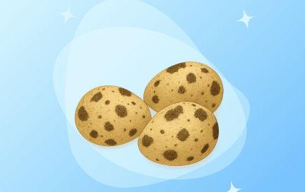 Выбор японских мам: чем полезны перепелиные яйца