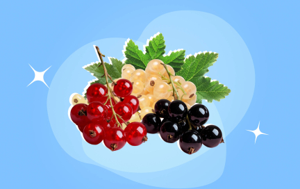 «Заморозь» проблему с едой: делаем заготовки в морозилку