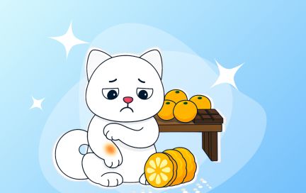 Аллергия на продукты: когда обычная еда становится опасной