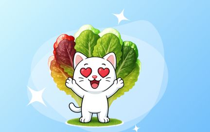 Принцип радуги: простое правило помогает укрепить здоровье