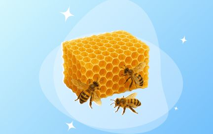 Мёд как альтернатива сахару: действительно ли он полезнее?