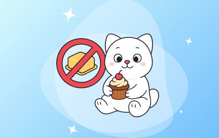 ТОП-6 полезных блюд без капли жира: простые рецепты на каждый день