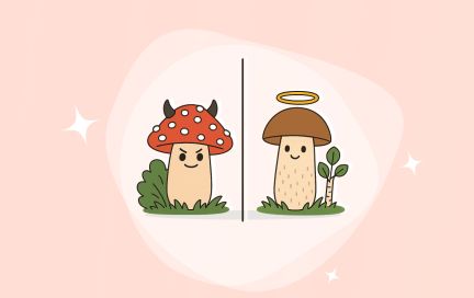 Отравление грибами: как распознать и что делать