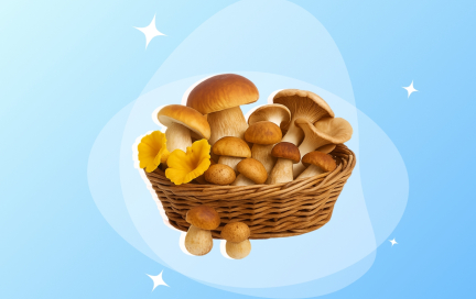 Суперфуд из леса или опасный деликатес? Разбираемся, полезны ли грибы