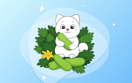 Что готовят из самого мемного овоща сотрудники FitStars Медиа: делимся рецептами блюд из кабачка