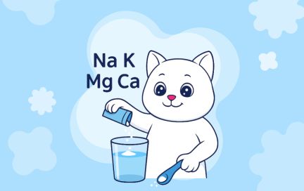 Что такое электролиты и почему они важны для здоровья человека