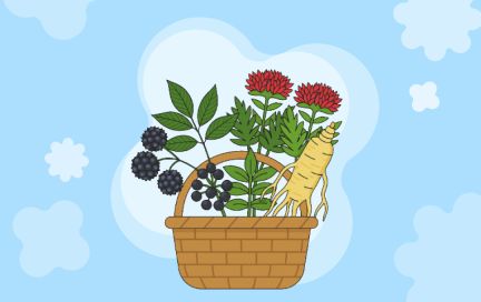 Адаптогены: как снизить тревожность и повысить выносливость