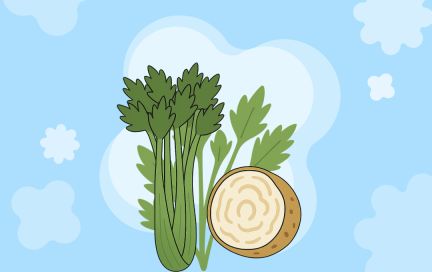 Почему добавить сельдерей в меню — хорошая идея?