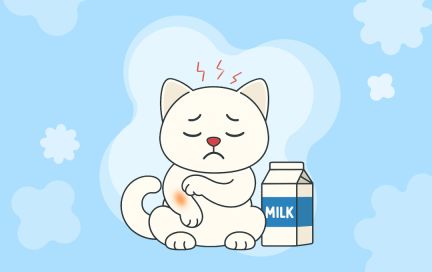 Аллергия, вздутие и боли в животе: элиминационная диета поможет найти причины дискомфорта