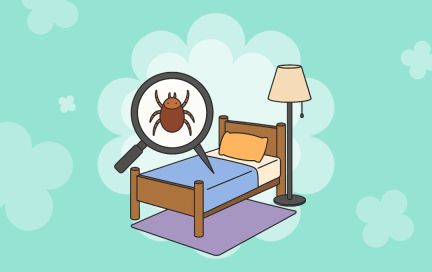 Домашняя пыль под микроскопом: кто живёт в наших подушках и вызывает аллергию