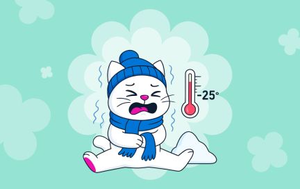 Аллергия на холод: как проявляется, симптомы, лечение