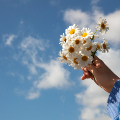 Хороший день — дело практики