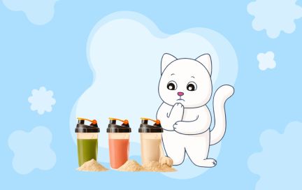 Протеиновые коктейли: ликбез и лучшие рецепты