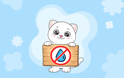 Отказ от воды ради стройности: работает ли такой подход на самом деле