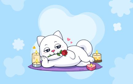 Какие продукты повышают либидо? Топ-7 афродизиаков для романтического ужина