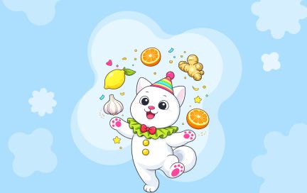 Что есть, когда болеешь: лучшие и худшие продукты для восстановления