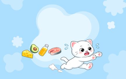 Жиры на диете: какие продукты убрать, чтобы похудеть