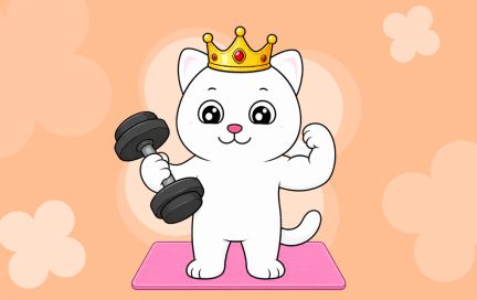 Обновления Премиума: что нового в премиальной подписке FitStars